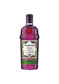 TANQUERY ROYALE DARK BERRY - Miniatura 2