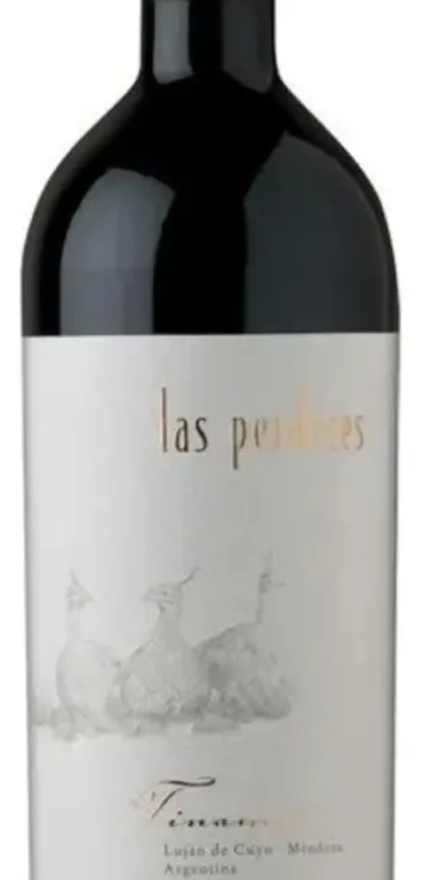 LAS PERDICES TINAMU 2019 2