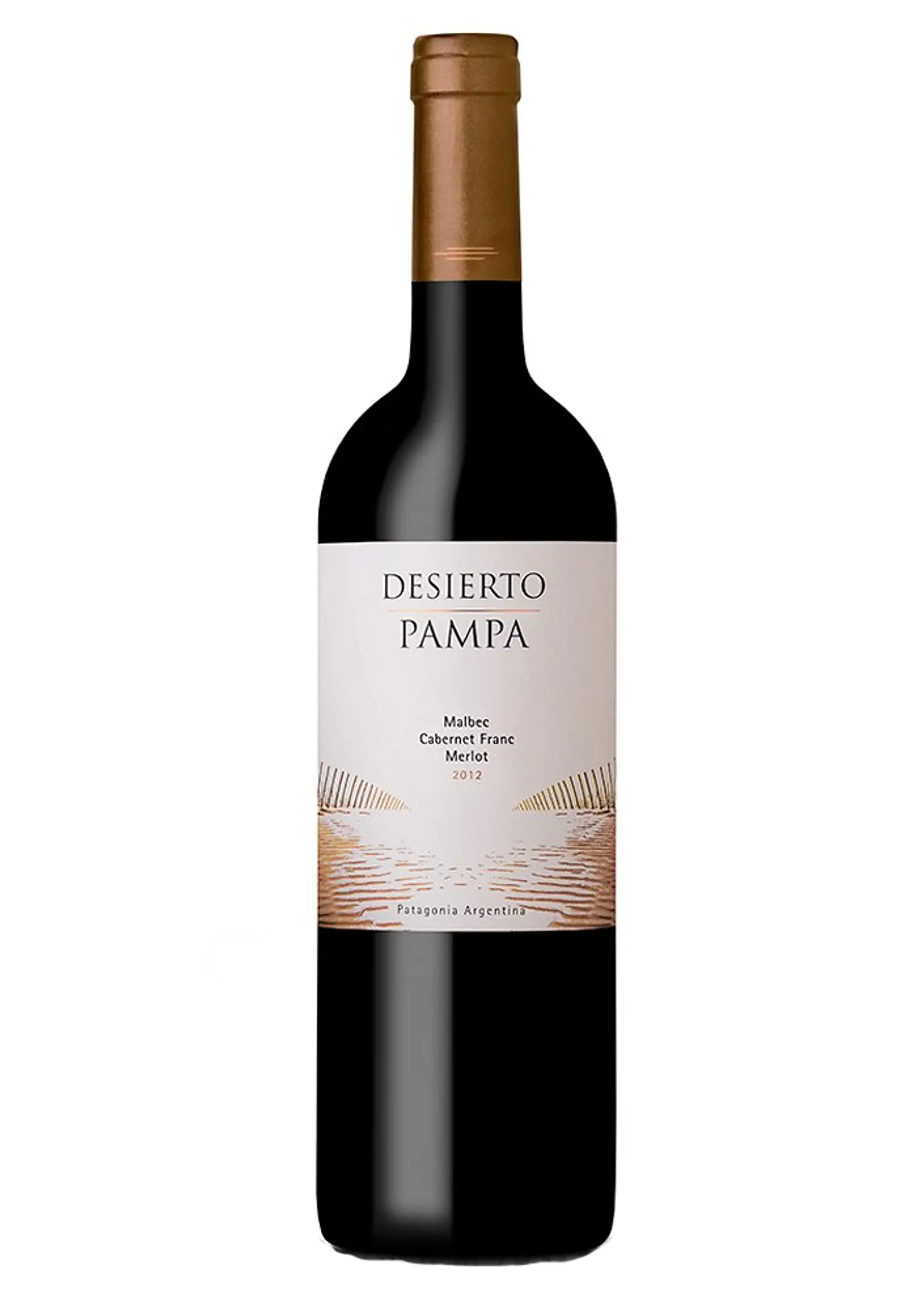 DESIERTO PAMPA BLEND (Cabernet Franc-Malbec-Merlot) 2018 1