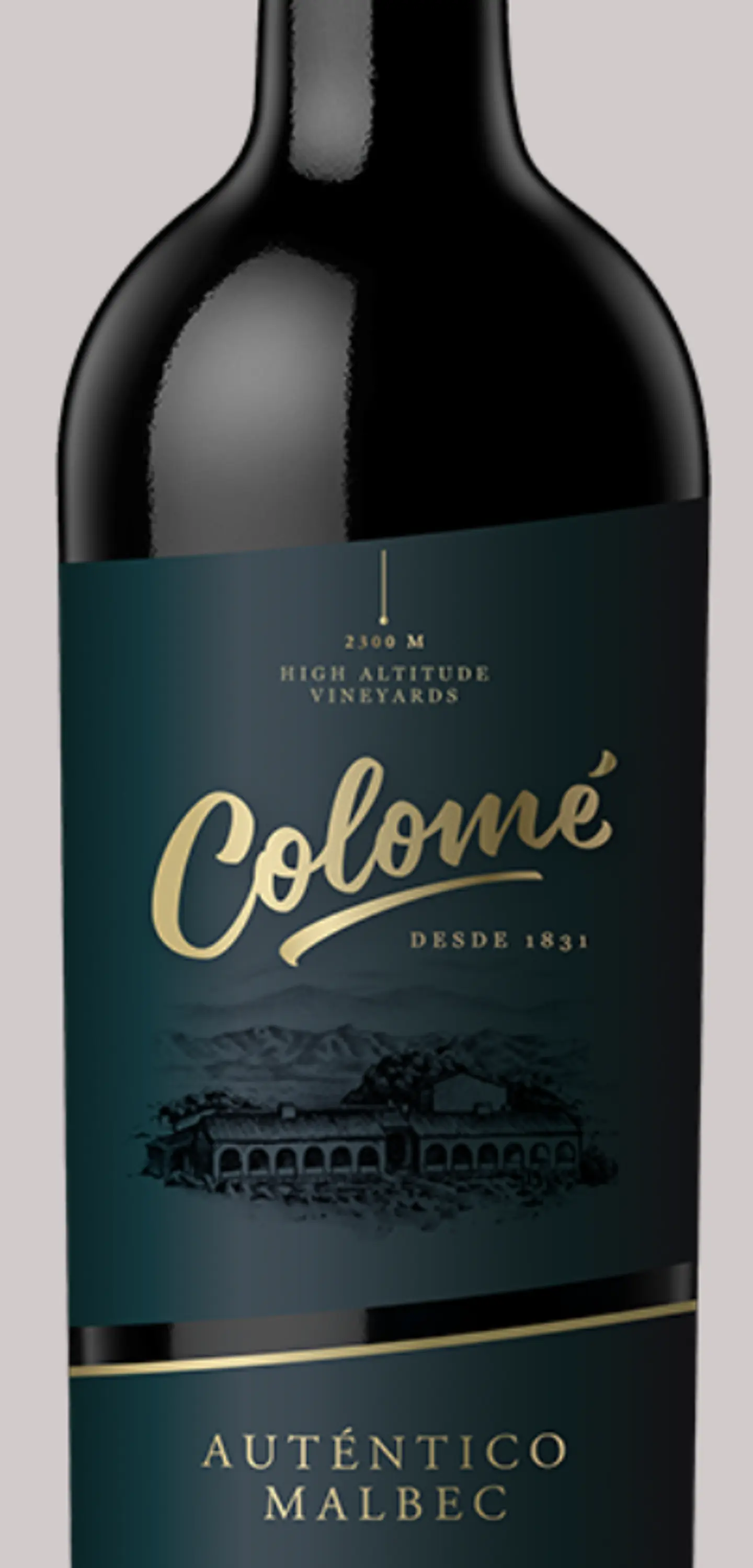 COLOME AUTENTICO MALBEC 3