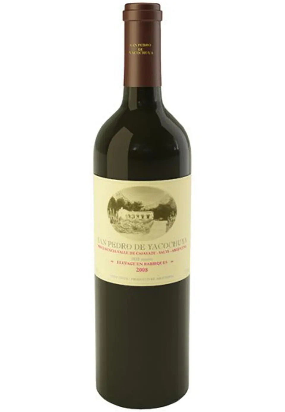 SAN PEDRO DE YACOCHUYA SPY TINTO 1