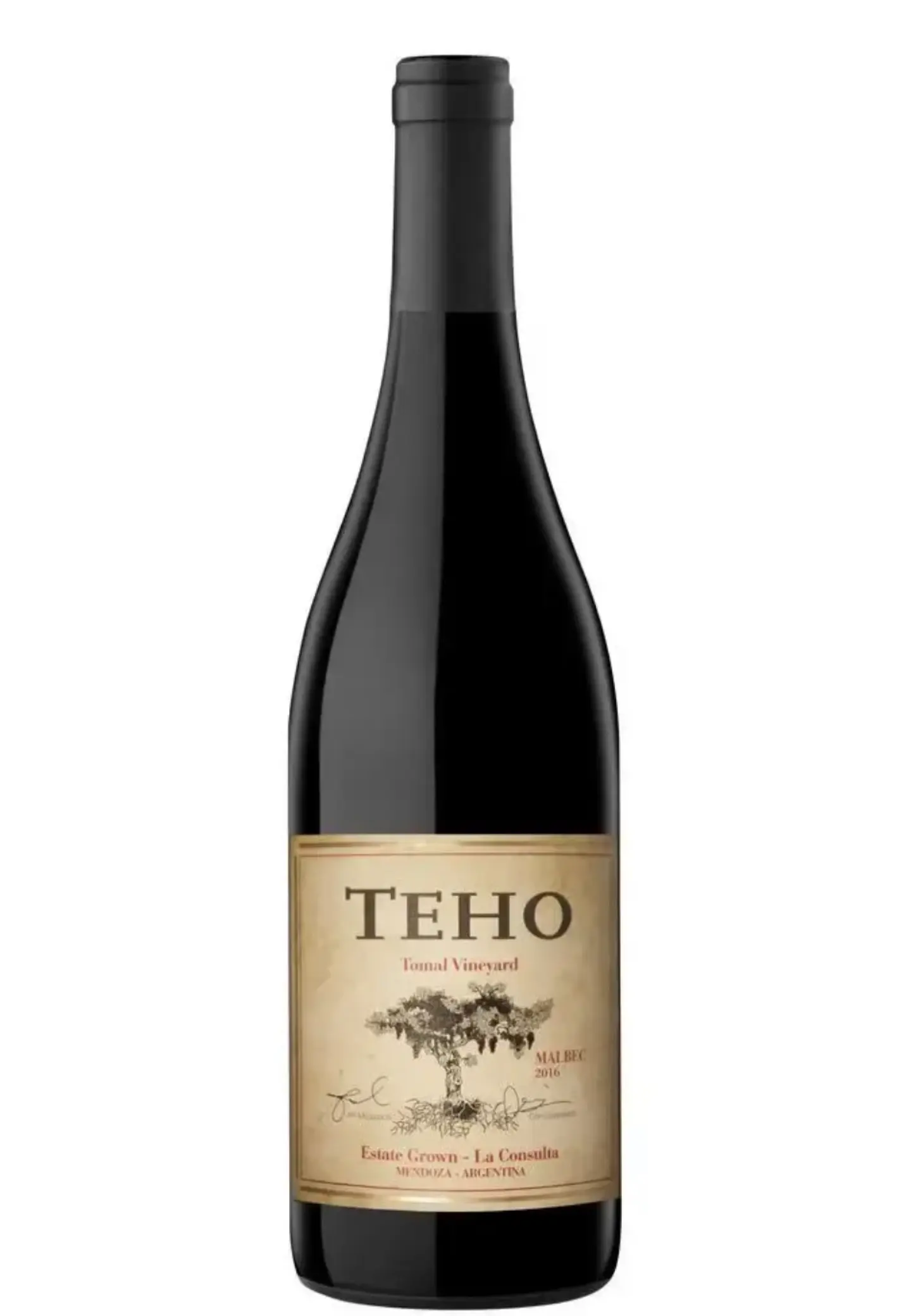 TEHO Malbec  1
