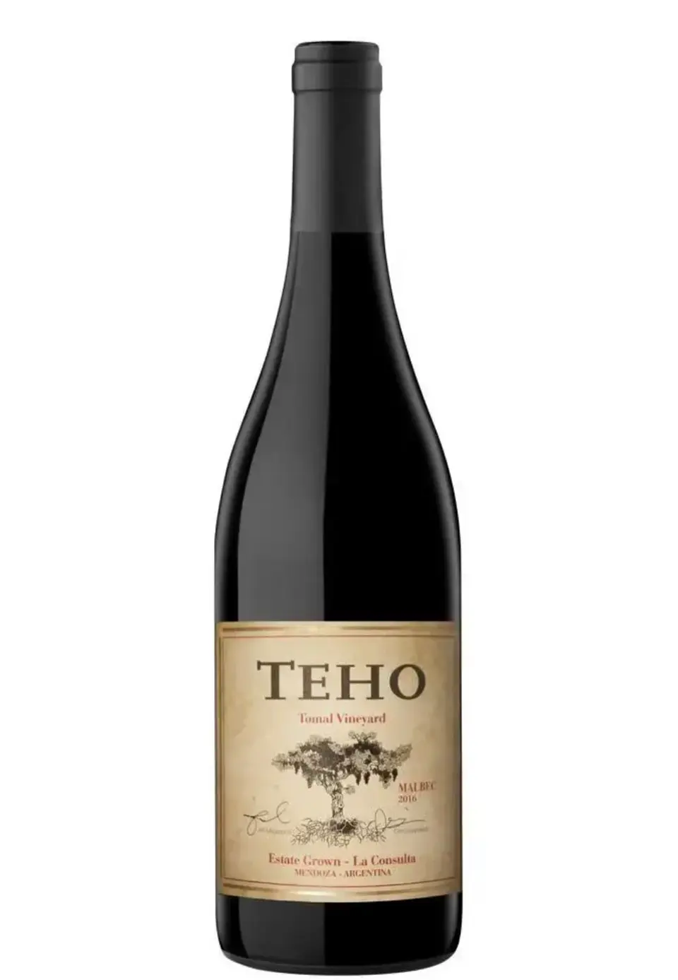  TEHO Malbec  1