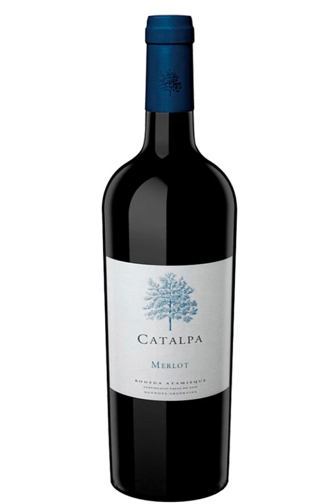 CATALPA MERLOT