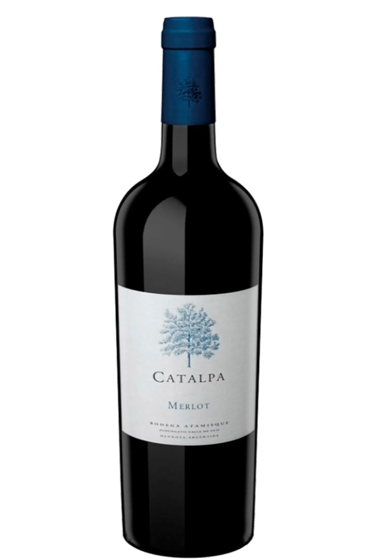 CATALPA MERLOT 1