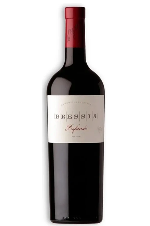 BRESSIA PROFUNDO Blend (malbec-cab.sauv.-merlot-syrah) 2019