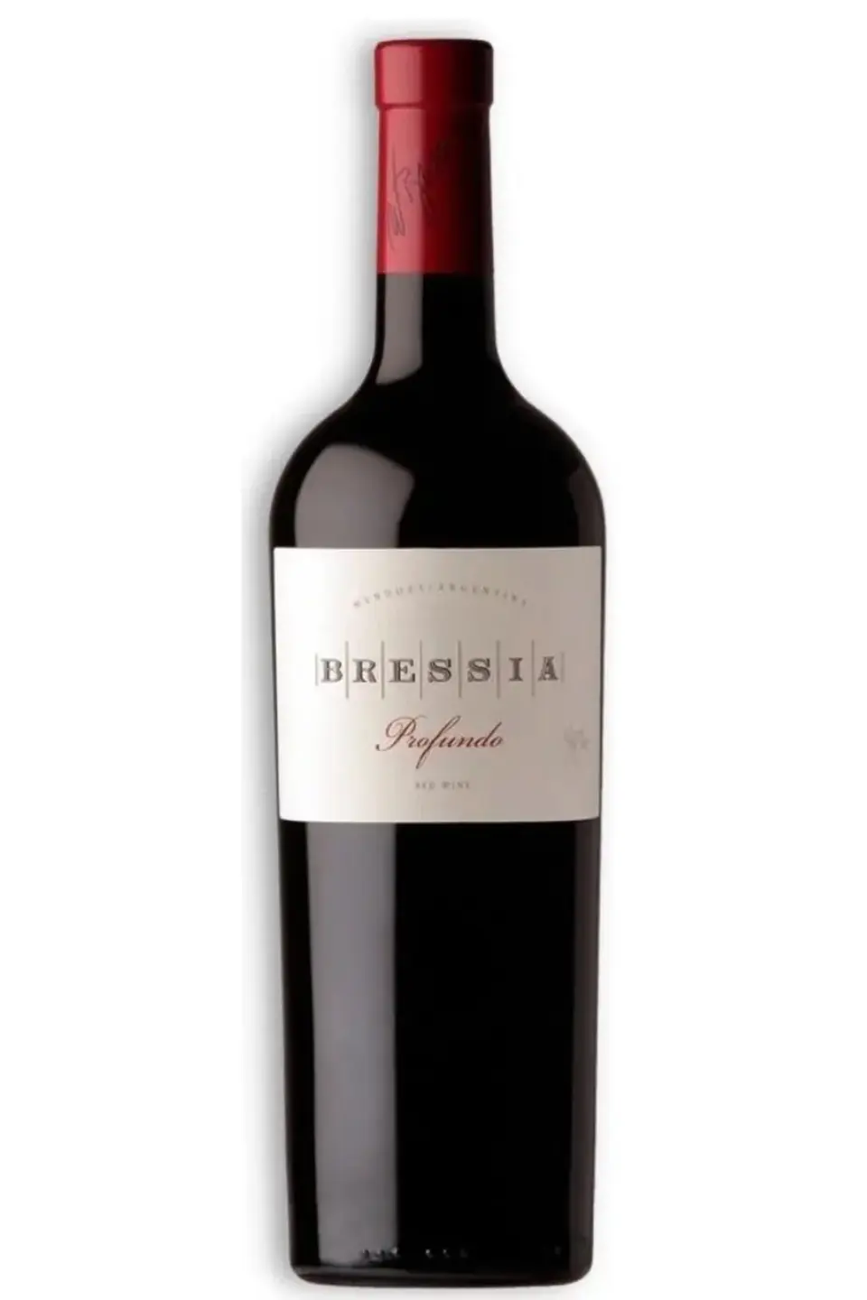 BRESSIA PROFUNDO Blend (malbec-cab.sauv.-merlot-syrah) 2019 1