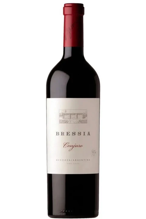 BRESSIA CONJURO Blend (malbec-cab.sauv.-merlot) 2017