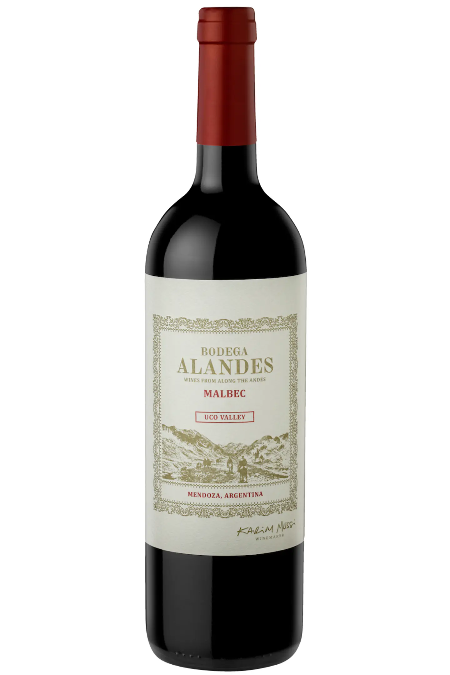 ALANDES Malbec Uco Valley 1