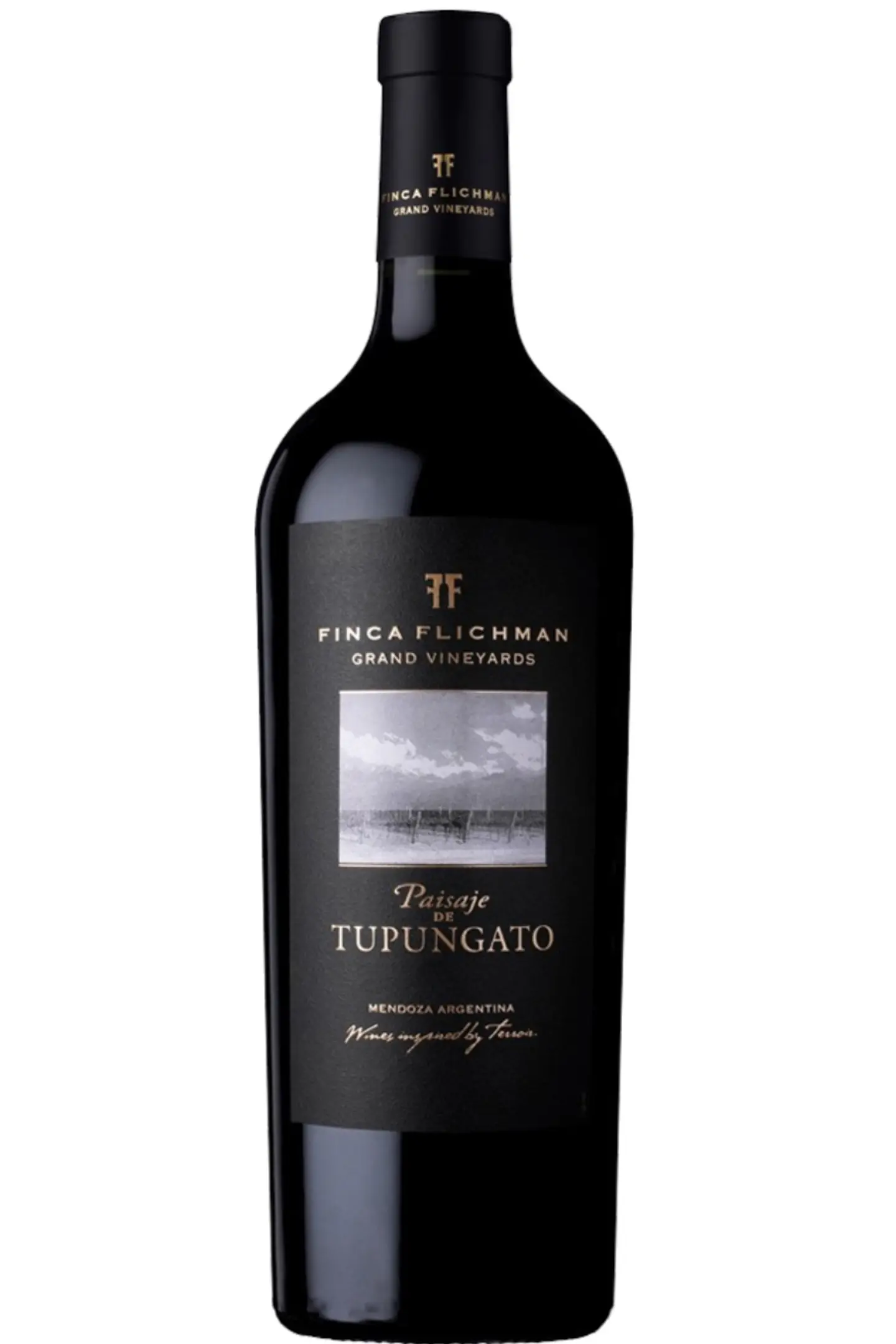 FINCA FLICHMAN Paisaje Tupungato 2020 1