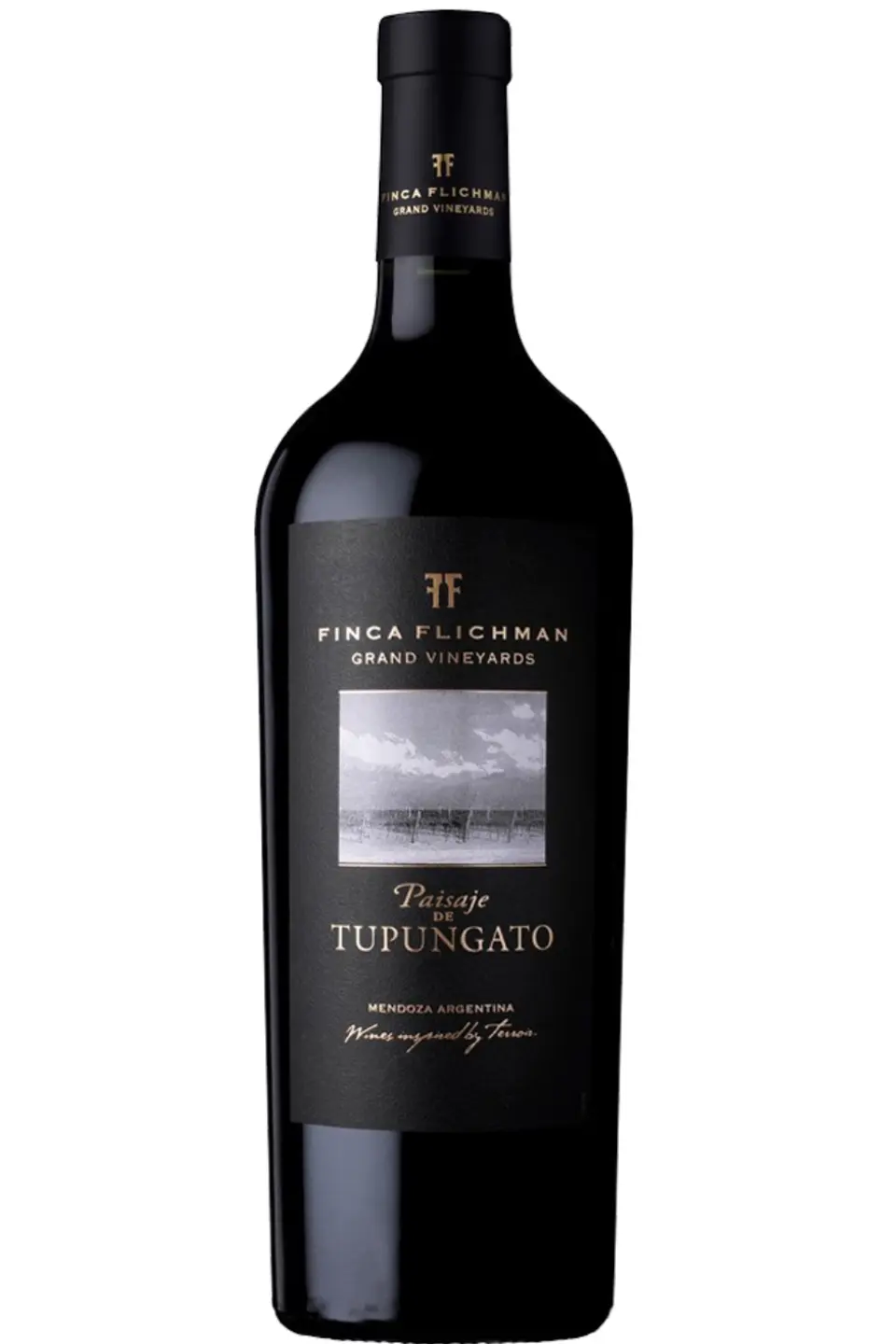 FINCA FLICHMAN Paisaje Tupungato 2020 1