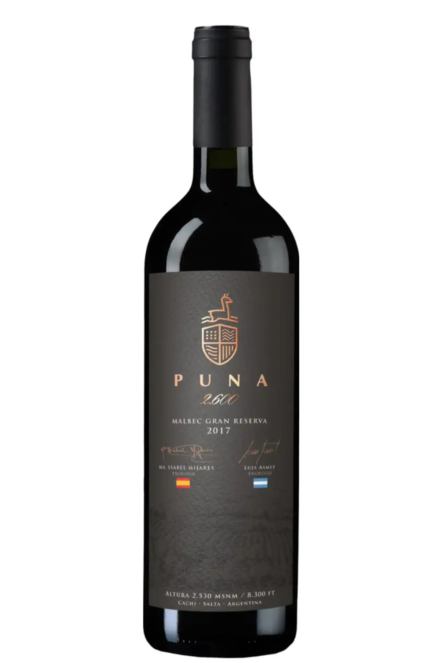 PUNA Gran Malbec 2019 1