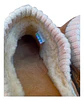 Zuecos UGG Modelo Gael Para Mujer - Talla 41 (28.5cm) - Miniatura 8