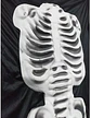 Disfraz De Esqueleto Con Relieve - Adulto Unisex Estándar - Miniatura 6