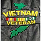 Chaqueta de Cuero Genuino Veterano de Vietnam - Talla 5XL - Miniatura 6