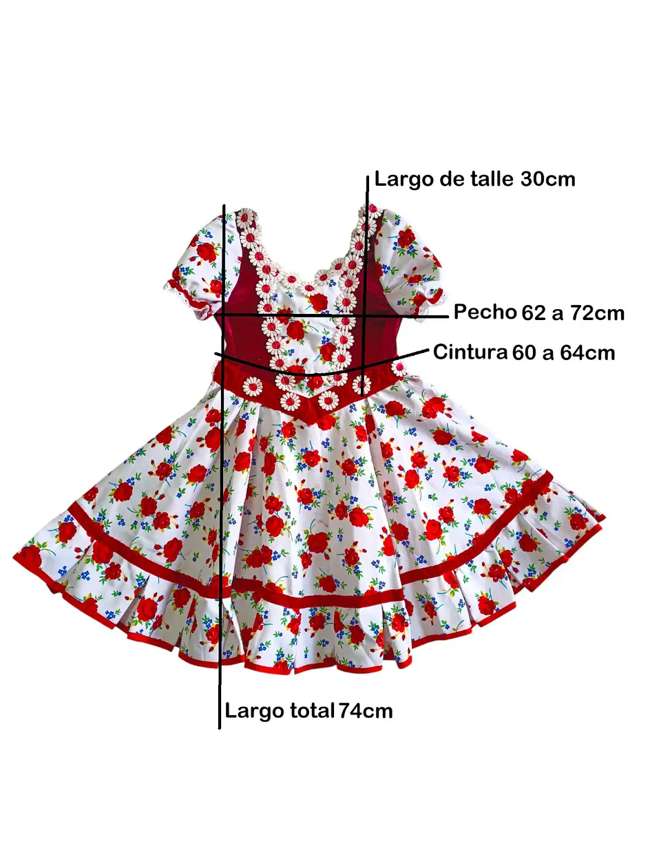Vestido Huasa China Estampado Floral Para Niña 6 - 8 Años 11