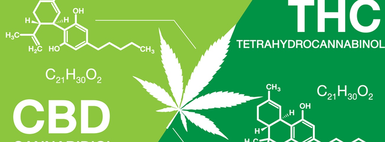 Cannabis Medicinal thc y cbd