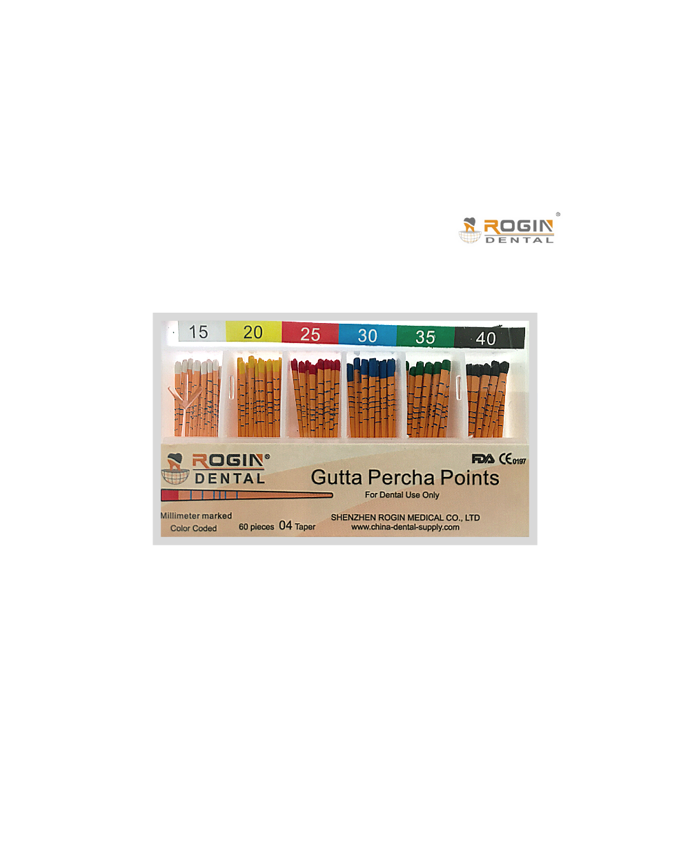 CONO GUTAPERCHA  2