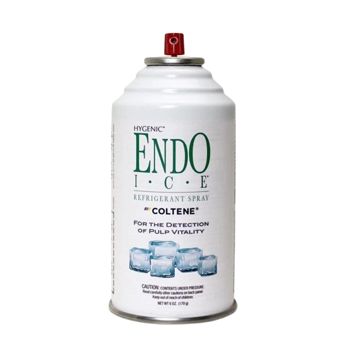 ENDO ICE SPRAY 170 GRS COLTENE 1