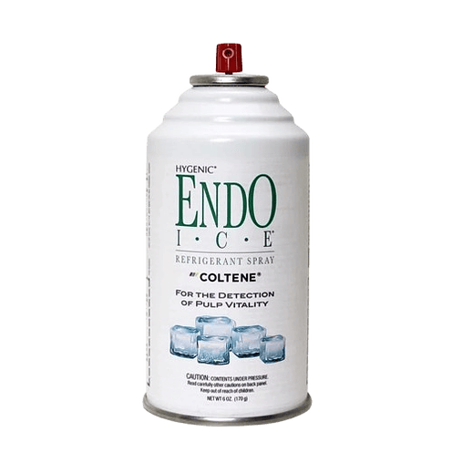 ENDO ICE SPRAY 170 GRS COLTENE 1