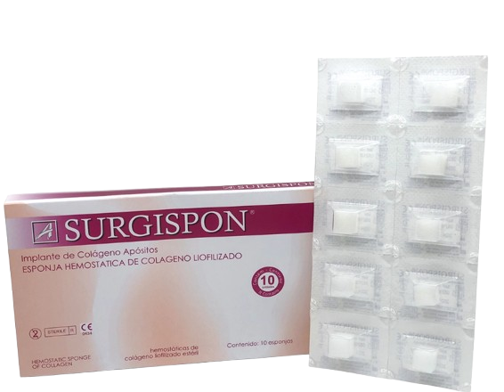 GELITAS SURGISPON CAJA 10 UNIDADES 1
