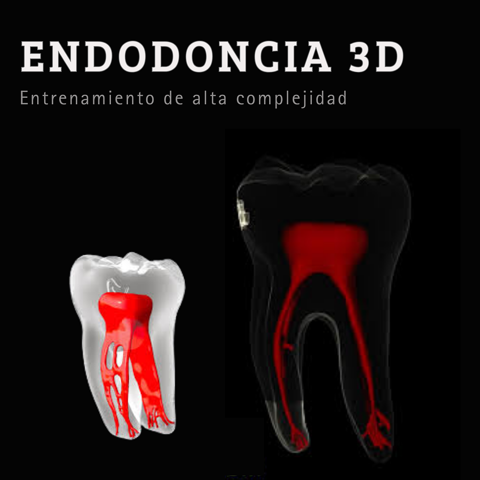 Dientes de alta definición 