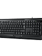 TECLADO GENIUS KB-118 II USB CON REPOSAMUÑECAS - TECLA AI COPILOT - 12 MULTIMEDIA - PERFIL BAJO ERGONÓMICO - Miniatura 1