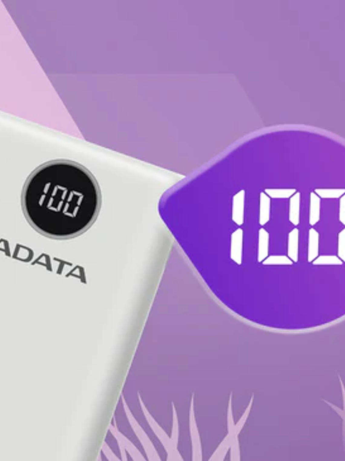 Batería Portátil ADATA P20000QCD 20000mAh Power Bank 18W Carga Rápida USB-C PD QC 3.0 2