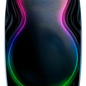 Parlante Bigger BG-P1226 12 Pulgadas Bluetooth con Micrófonos Inalámbricos 30W RMS Recargable