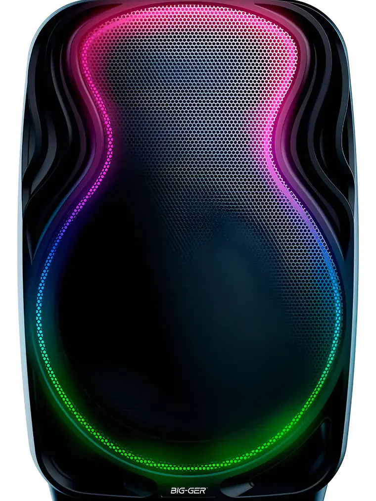 Parlante Bigger BG-P1226 12 Pulgadas Bluetooth con Micrófonos Inalámbricos 30W RMS Recargable 1