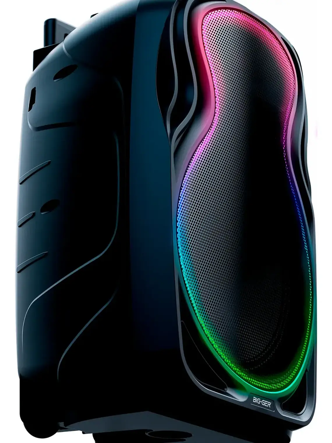 Parlante Bigger BG-P1226 12 Pulgadas Bluetooth con Micrófonos Inalámbricos 30W RMS Recargable 2