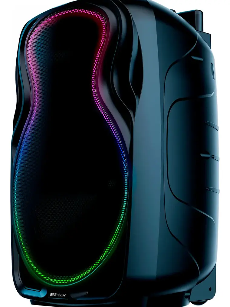 Parlante Bigger BG-P1226 12 Pulgadas Bluetooth con Micrófonos Inalámbricos 30W RMS Recargable 3