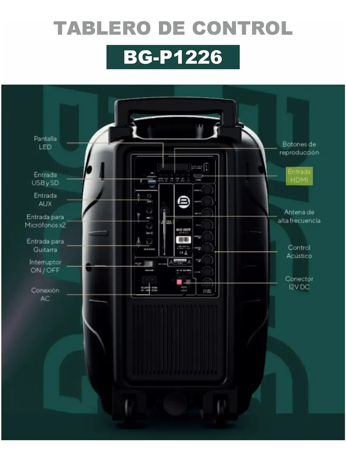 Parlante Bigger BG-P1226 12 Pulgadas Bluetooth con Micrófonos Inalámbricos 30W RMS Recargable 6