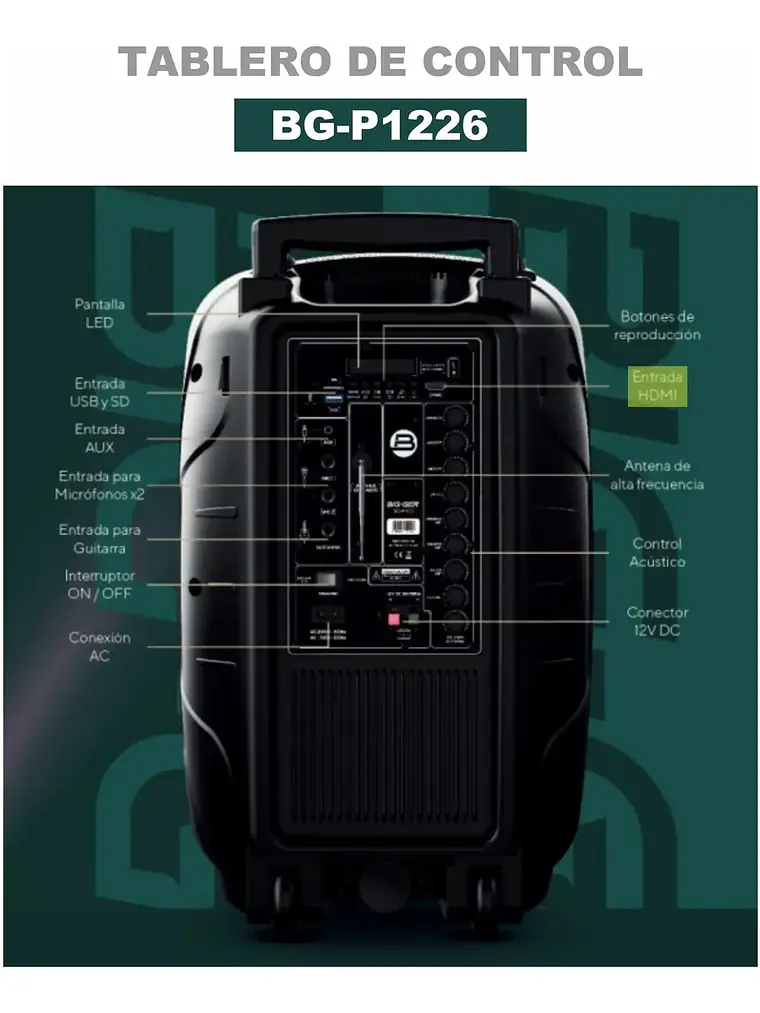 Parlante Bigger BG-P1226 12 Pulgadas Bluetooth con Micrófonos Inalámbricos 30W RMS Recargable 6