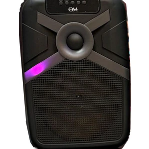 Parlante Portátil MS-2074BT Bluetooth con Micrófono, Radio FM y Entrada USB