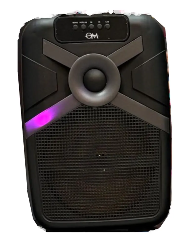 Parlante Portátil MS-2074BT Bluetooth con Micrófono, Radio FM y Entrada USB 1