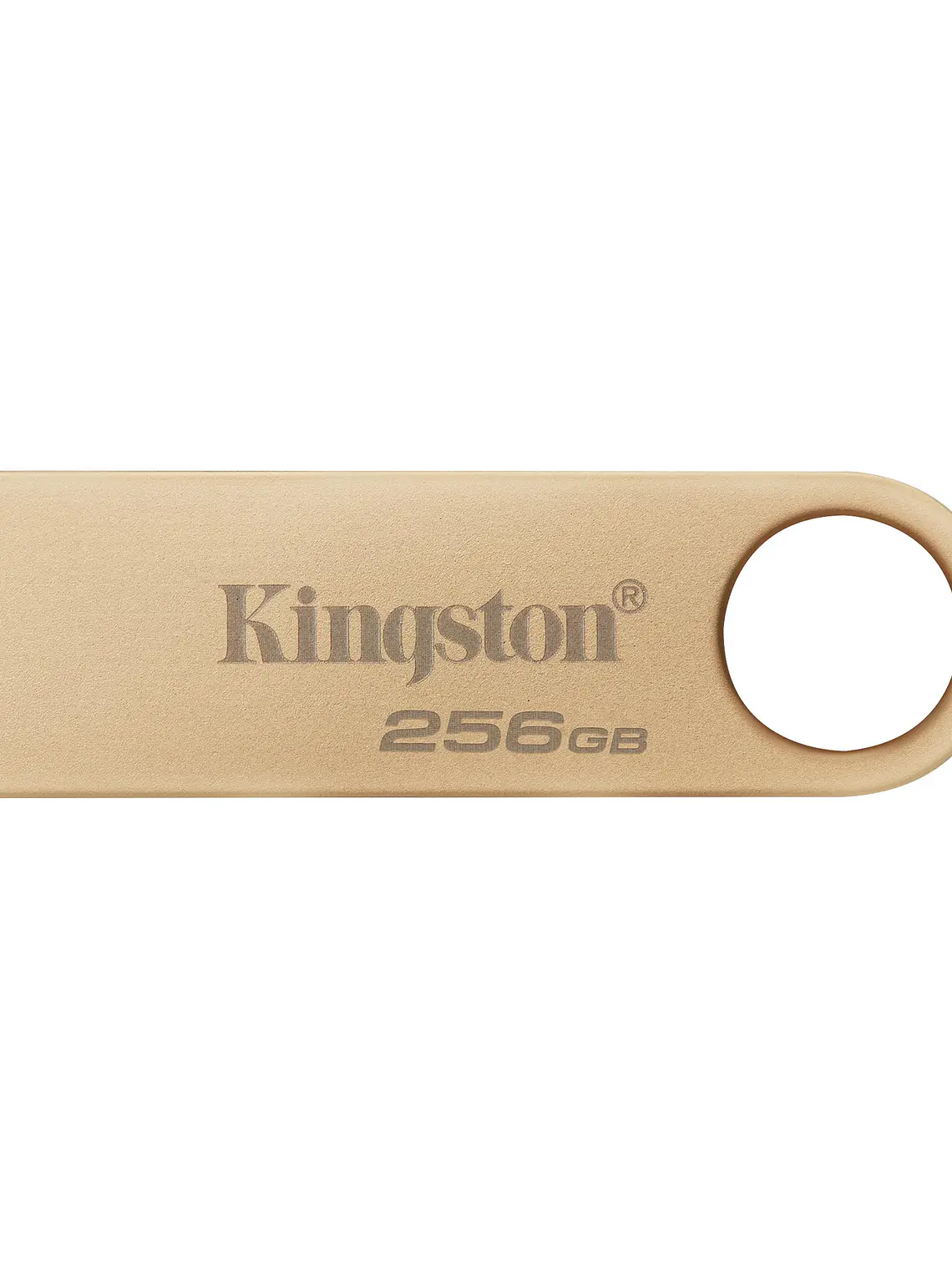 Memoria USB Kingston DataTraveler SE9 G3 256GB USB 3.2 Gen 1 2