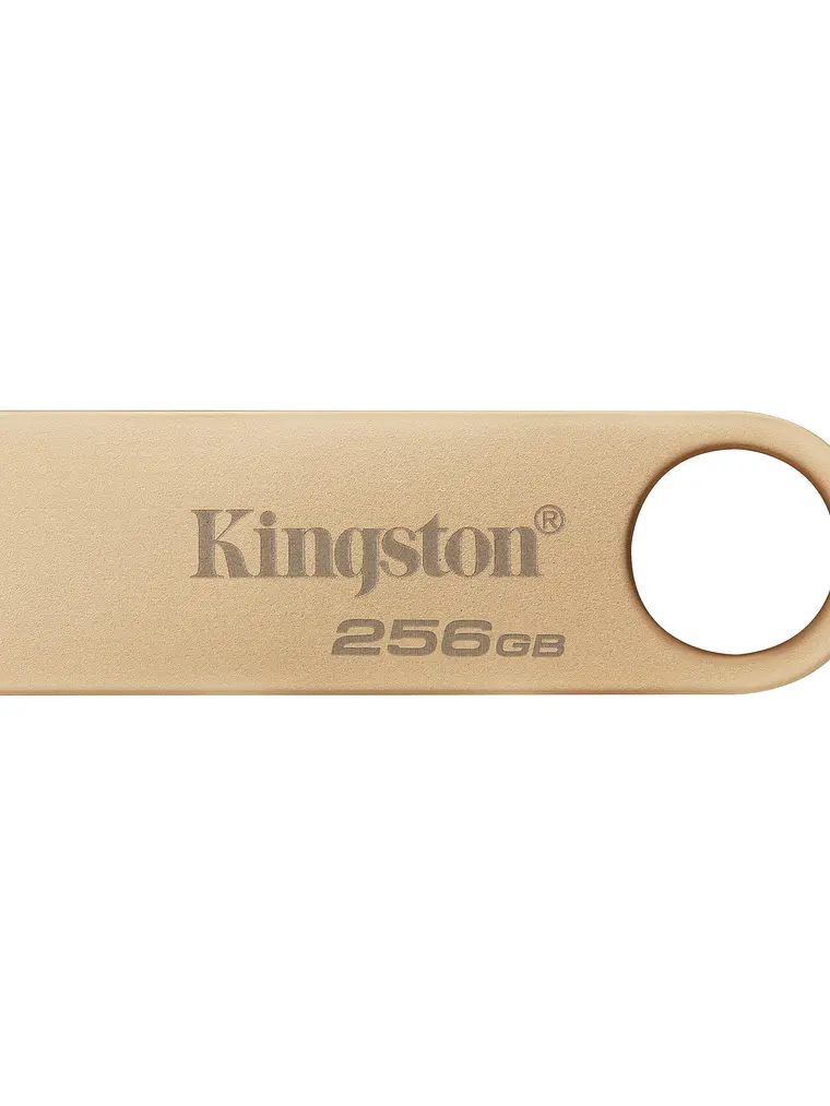 Memoria USB Kingston DataTraveler SE9 G3 256GB USB 3.2 Gen 1 2