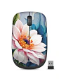 Mouse Inalámbrico Cybertel Polen CYB M313 1000 DPI USB 2.4 GHz - Miniatura 1