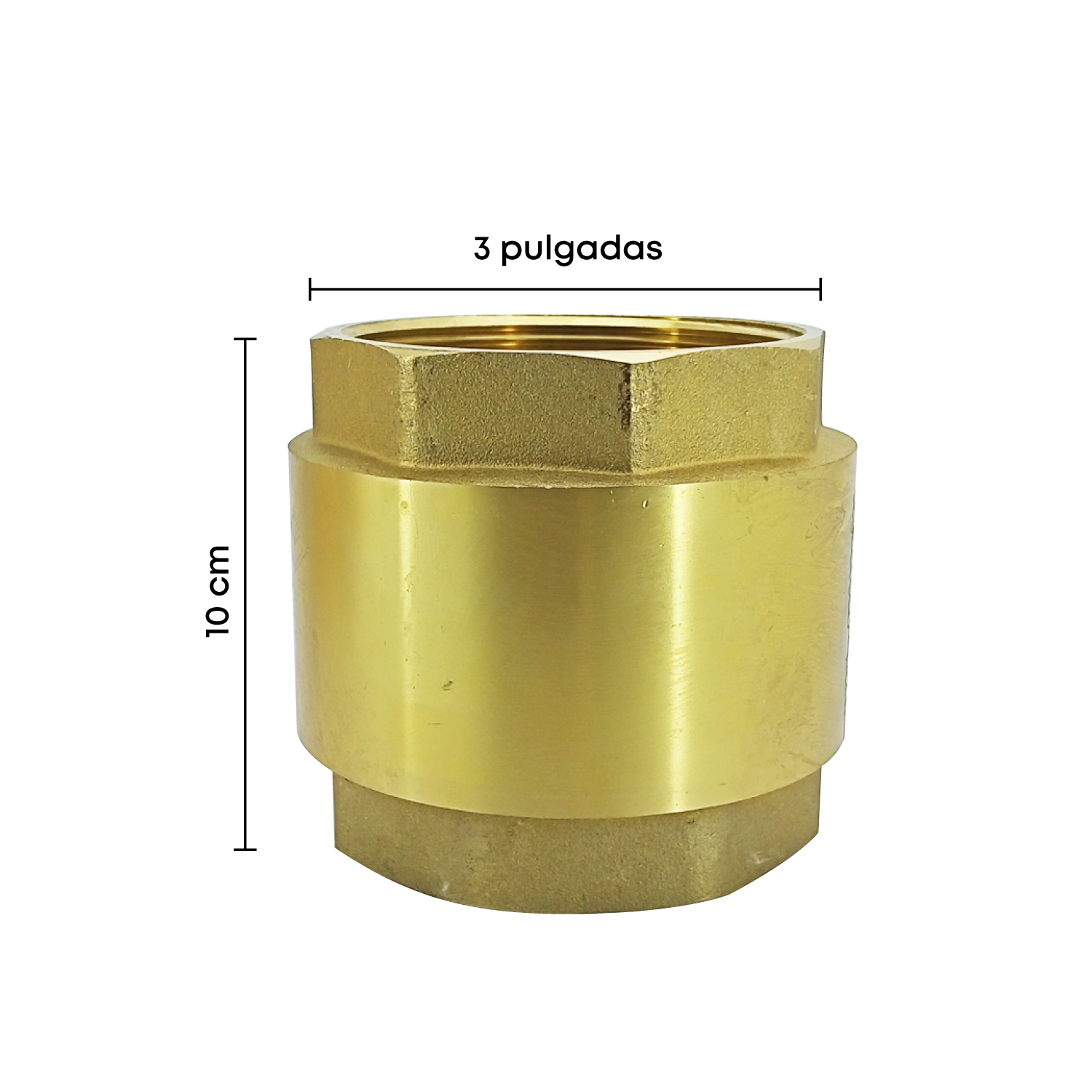 Valvula Retencion Vertical Pesada (spring) 3