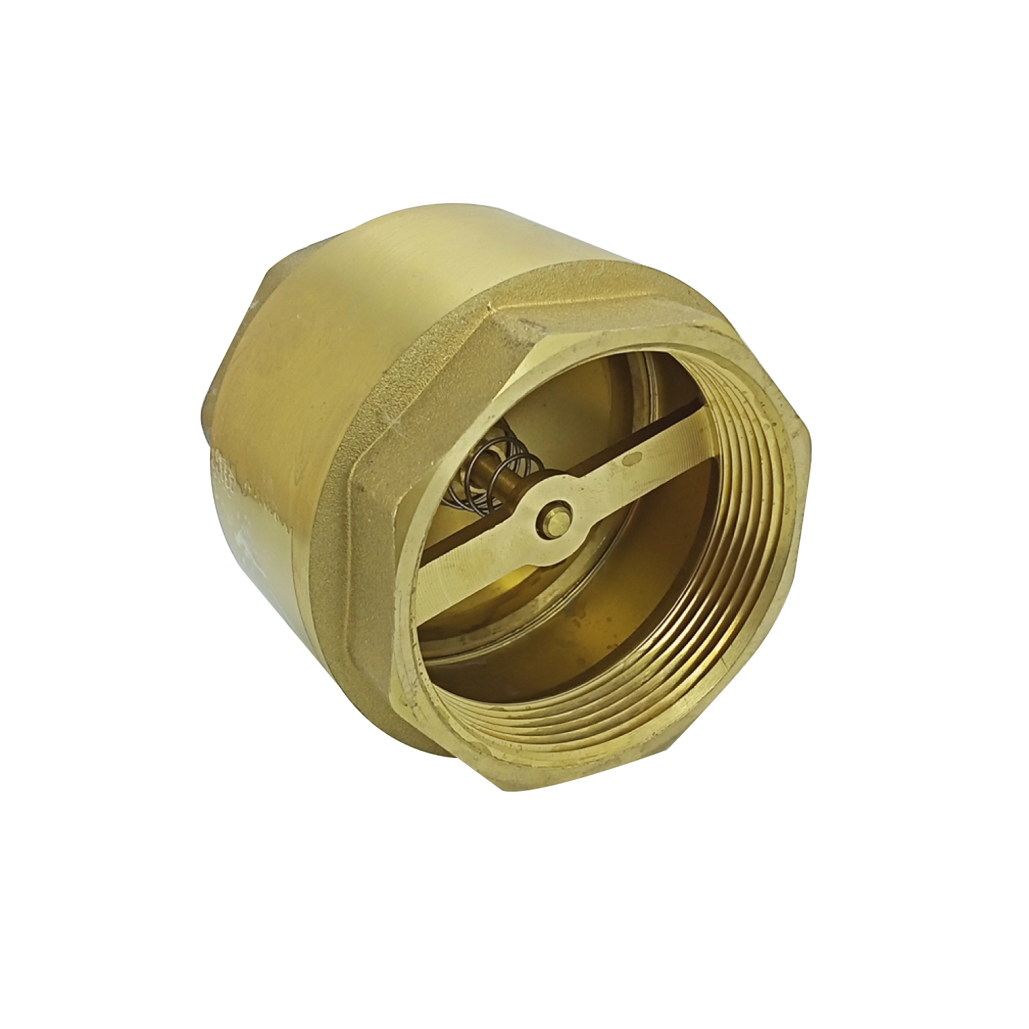 Valvula Retencion Vertical Pesada (spring) 3