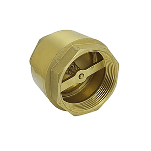 Valvula Retencion Vertical Pesada (spring) 3