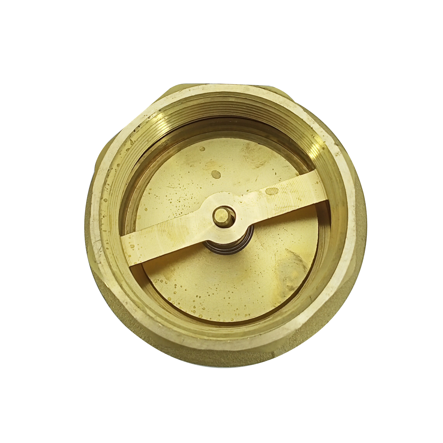 Valvula Retencion Vertical Pesada (spring) 3