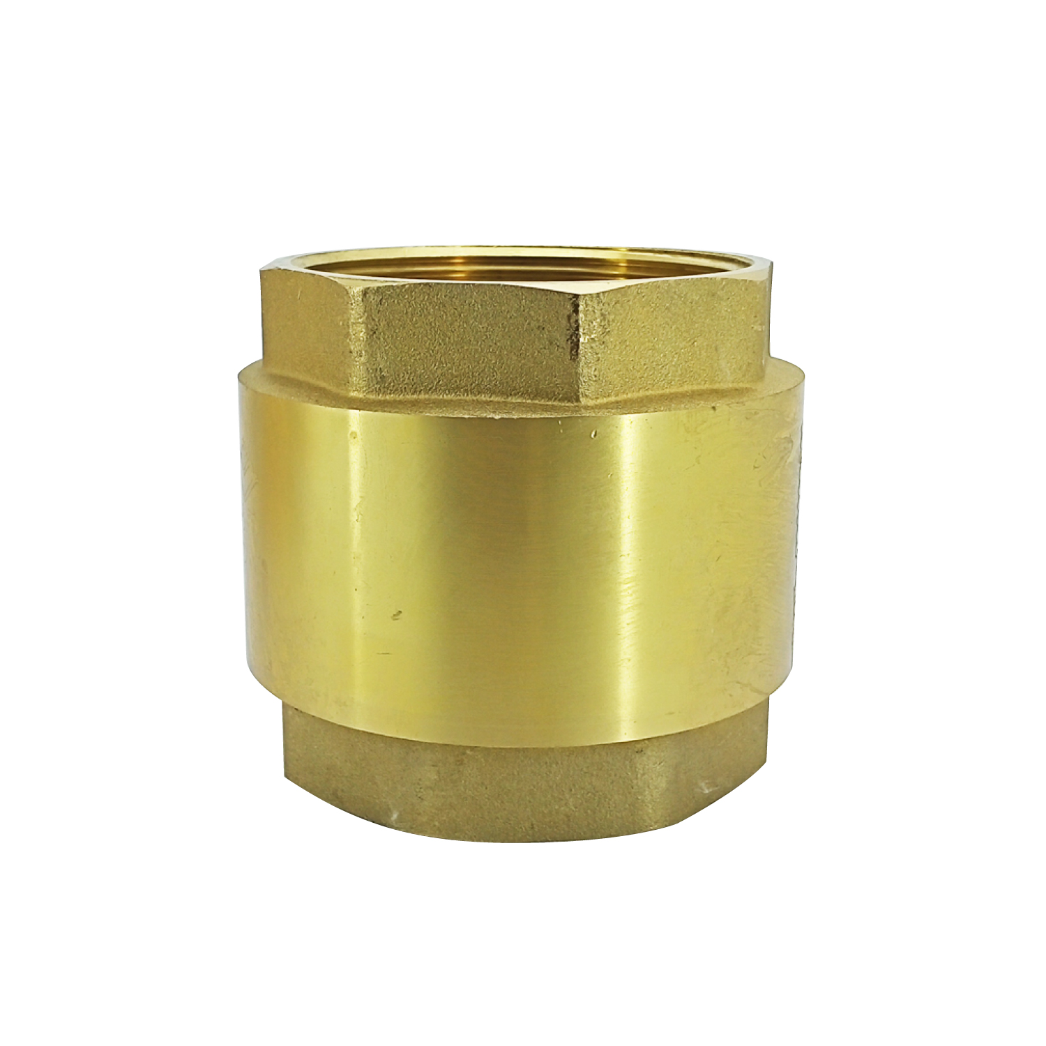 Valvula Retencion Vertical Pesada (spring) 3