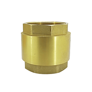 Valvula Retencion Vertical Pesada (spring) 3