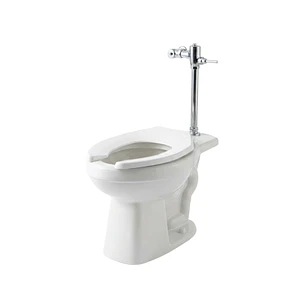Sanitario Institucional Con Fluxómetro