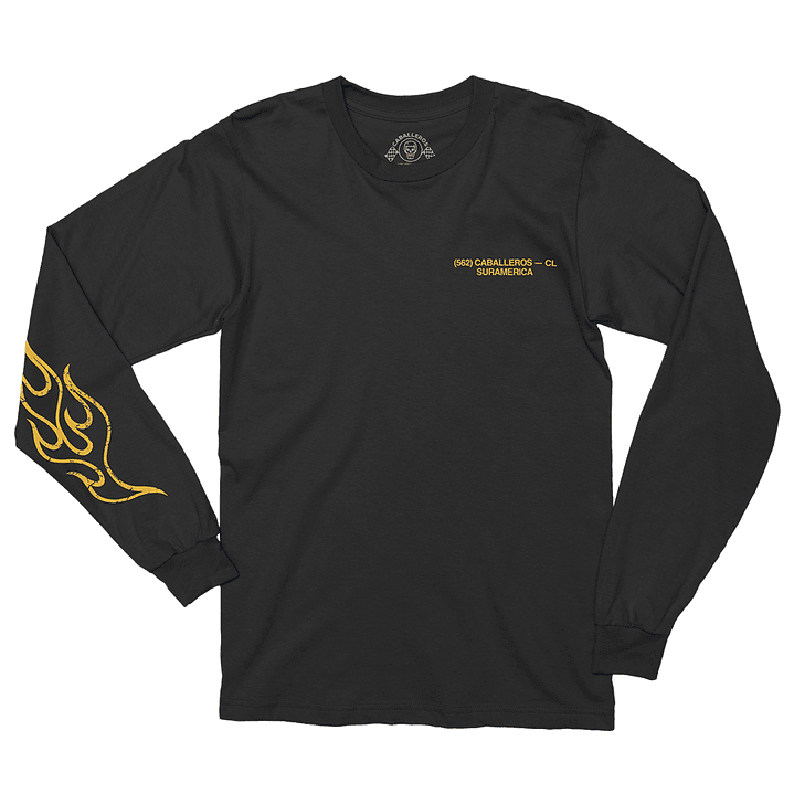 Conduce como si fuese robada 2