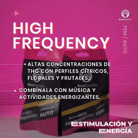 Semillas Automáticas High Frequency (4 Semillas)