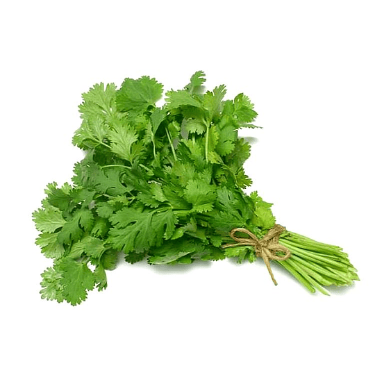 Cilantro Paquete 250 Gr