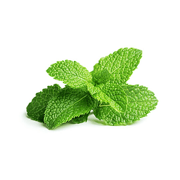 Menta Hidroponica 200 Gr